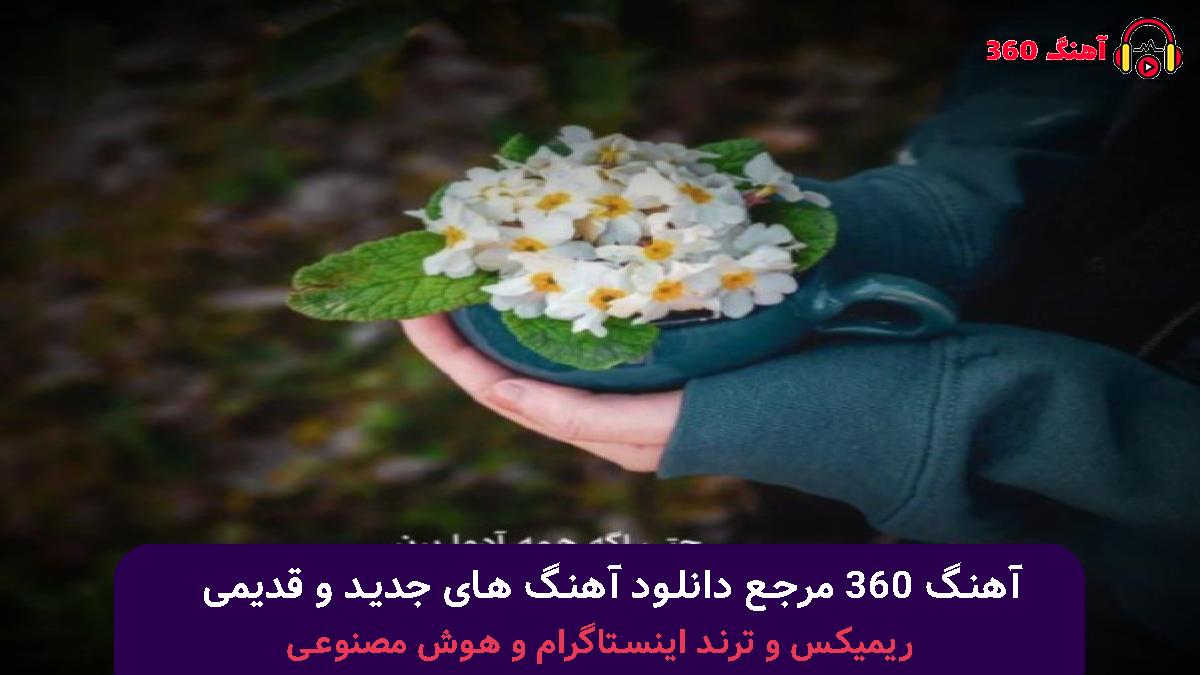 کاور آهنگ عکس یادگاری با صدای مرتضی پاشایی و علیرضا طلیسچی